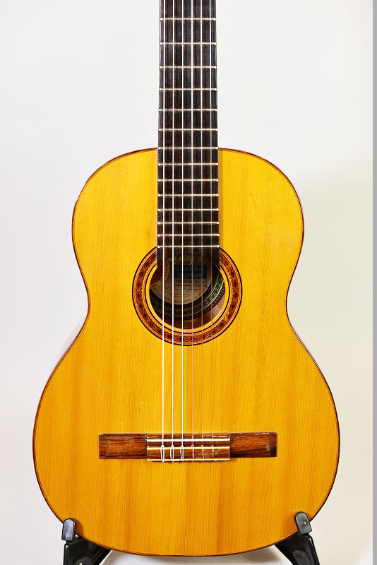 Di Giorgio Signorina No.16 - guitarshoptantan （ギター