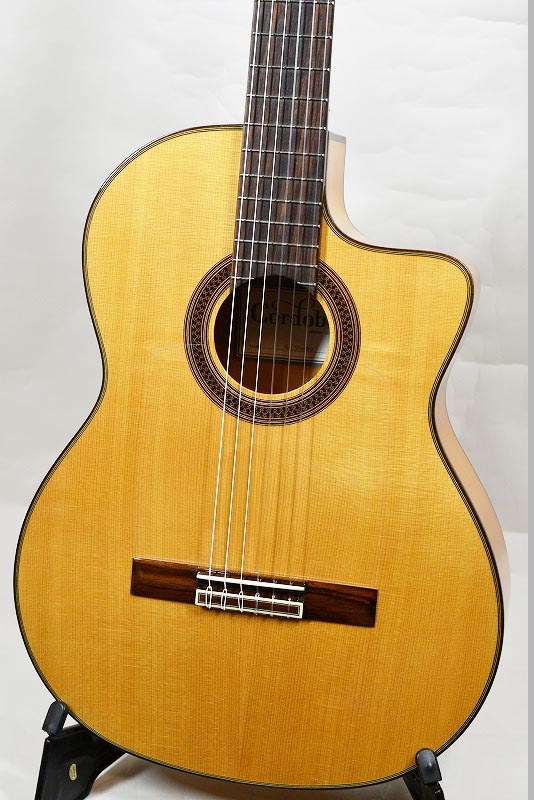 Cordoba GK Studio エレガット+ハードケース Cordoba GK Studio エレガット+ハードケース Cordoba GK Studio