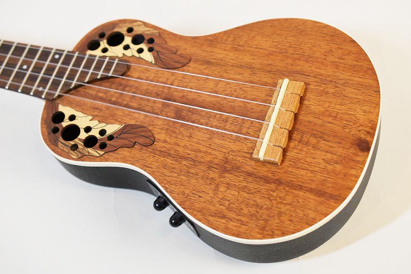 Applause UAE20 - guitarshoptantan （ギターショップタンタン）