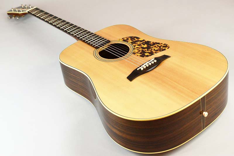 LEVINSON LD-45 アコースティックギター LEVINSON LD-45（新品特価）【楽器検索デジマート】