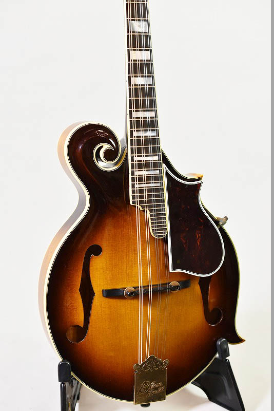 Blue Bell F-8 - guitarshoptantan (ギターショップタンタン)