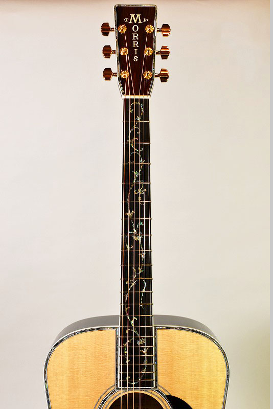 50台限定★モーリスギターW50TH　anniversary　edition★ MORRIS W-50th Limited Edition|ドルフィンギターズ