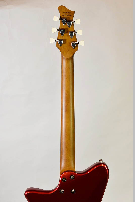 RYOGA SKATER/LE LRD - guitarshoptantan (ギターショップ RYOGA SKATER/LE LRD - guitarshoptantan (ギターショップ