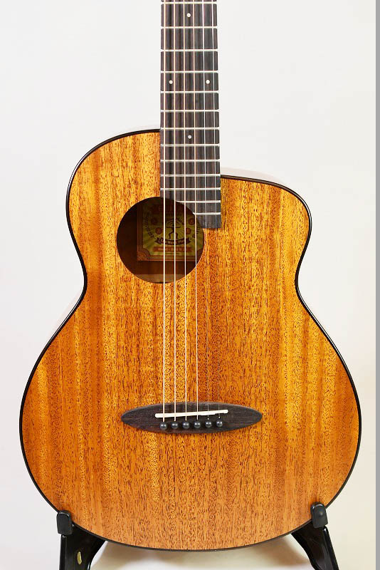 aNueNue aNN-M20E - guitarshoptantan （ギターショップタンタン）