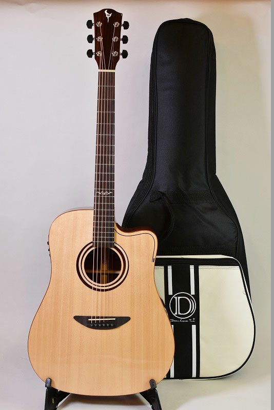 DCT D-311CE - guitarshoptantan （ギターショップタンタン）