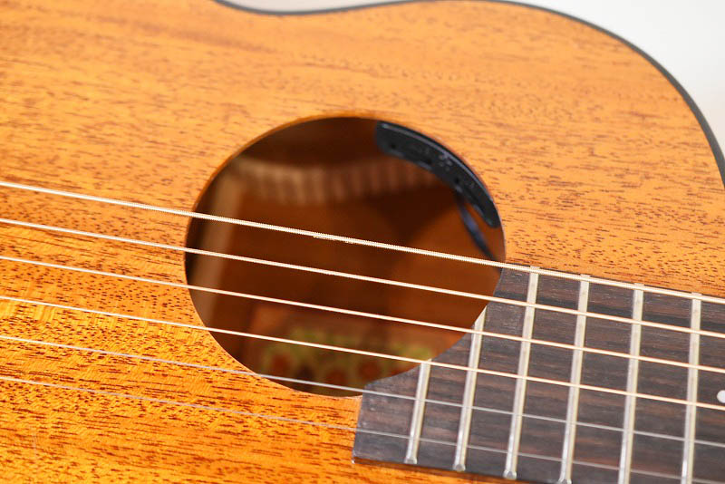 aNueNue aNN-M20E - guitarshoptantan （ギターショップタンタン）