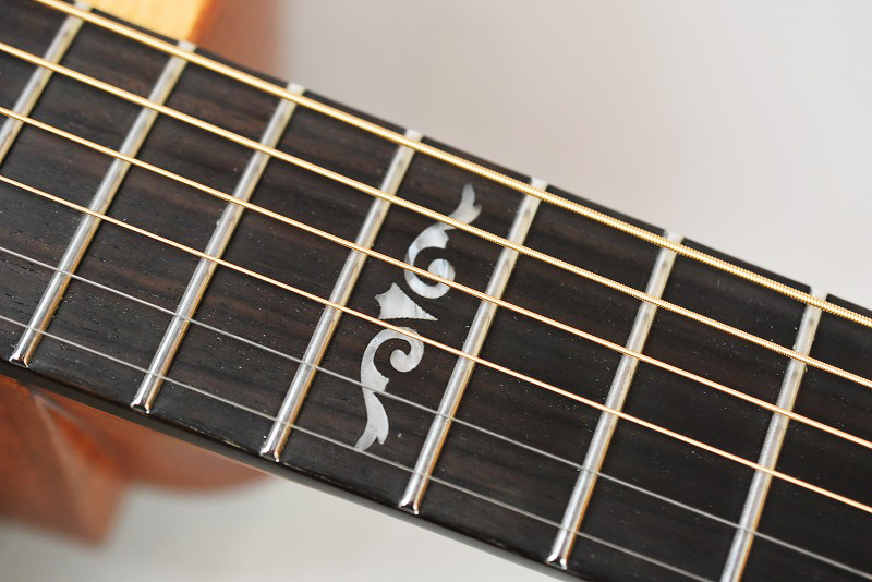 ギター DCT G-311 CE G-311CE LH AS | dct2019