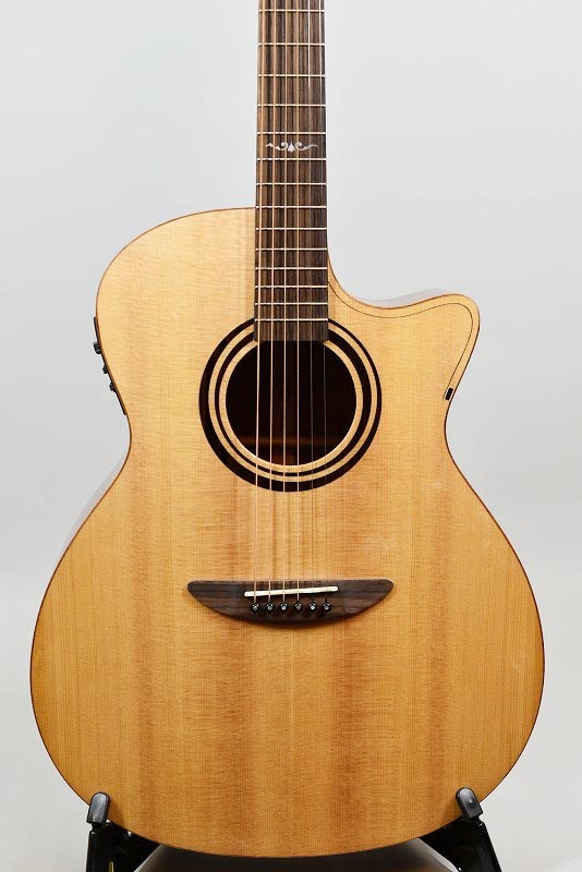 DCT GR-311CE - guitarshoptantan （ギターショップタンタン）