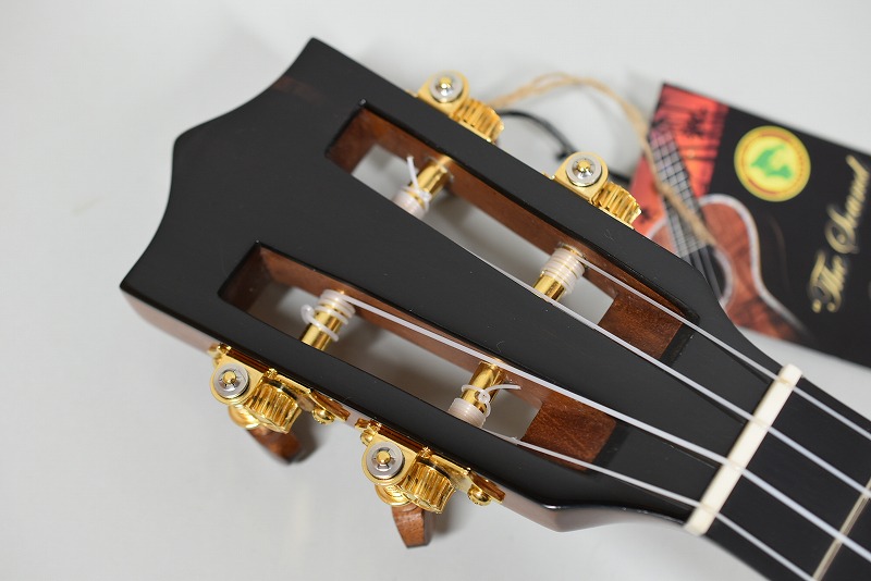 Big Island KSX-CTG - guitarshoptantan （ギターショップタンタン）