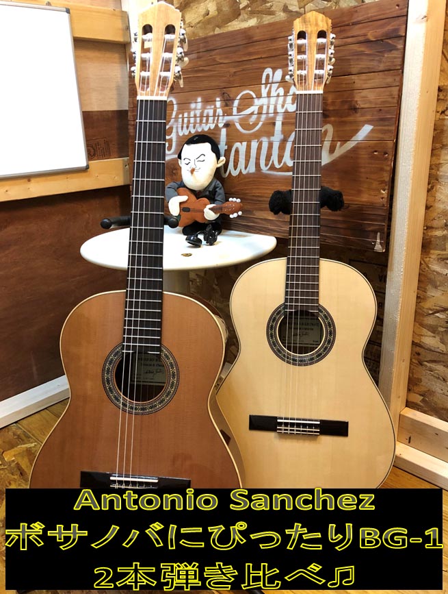 スペインのAntonio Sanchez2本弾き比べ♫ - guitarshoptantan （ギター