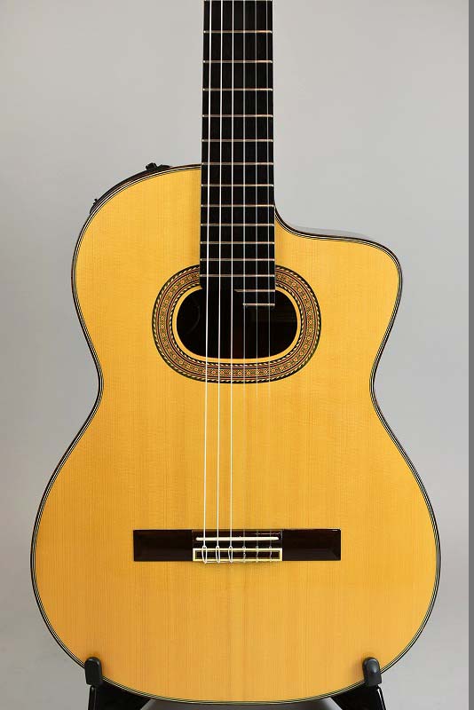 Takamine NPT-315 - guitarshoptantan （ギターショップタンタン）