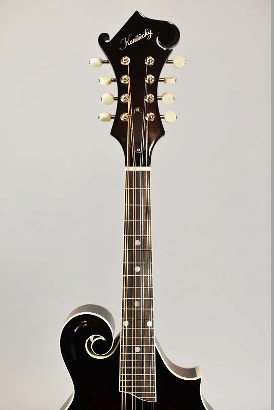 Kentucky KM-650 【S/N～070】 - guitarshoptantan （ギター