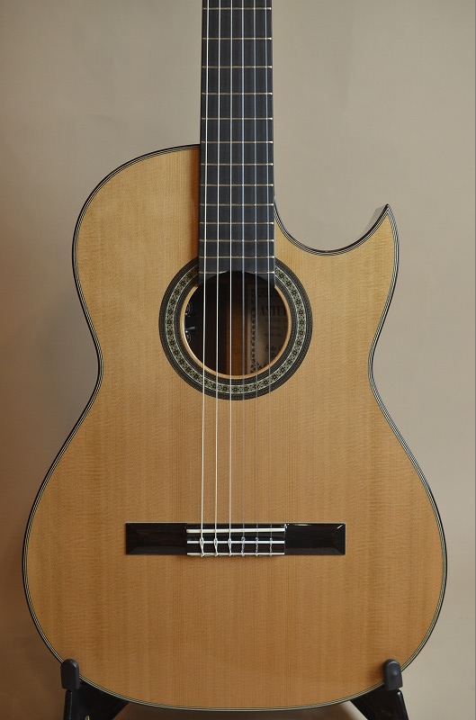 ASTURIAS SOLO CLASSICO Premio S - guitarshoptantan （ギター