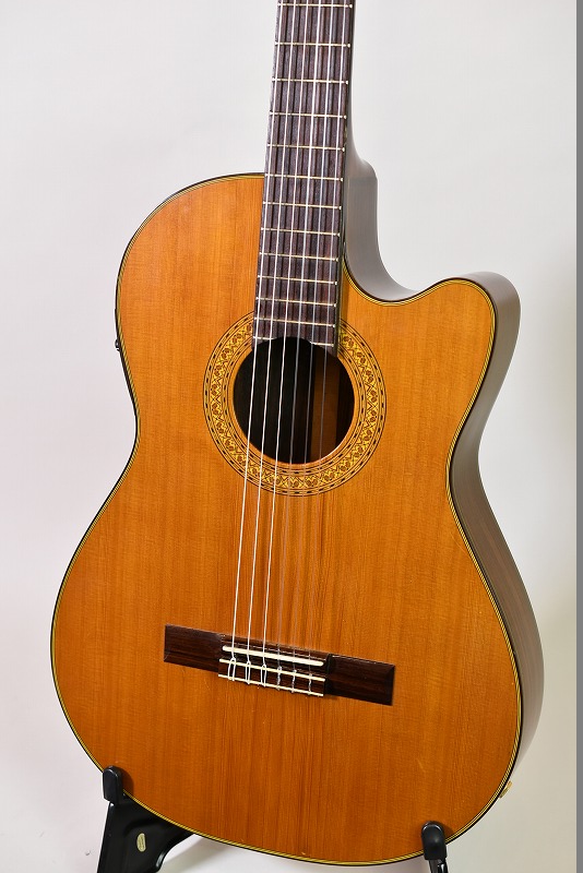 アコースティックギター Vesta Graham VD-40 Vesta Graham ベスタグラハム VD-40 希少アコースティックギター