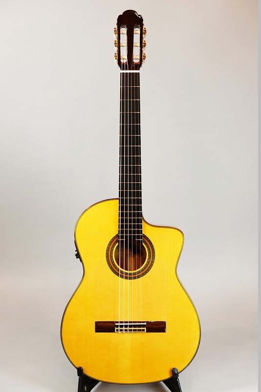 即決◆新品◆送料無料ARIA CG-120E(エレキギター 用 ハードケース ストラトキャスタータイプ CG-150C -Classic \u0026 Folk- | Guitar⁄Bass | Products | ARIA 荒井貿易