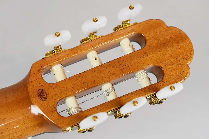 ARIA A-50S ～スプルーストップ単板～ - guitarshoptantan （ギター