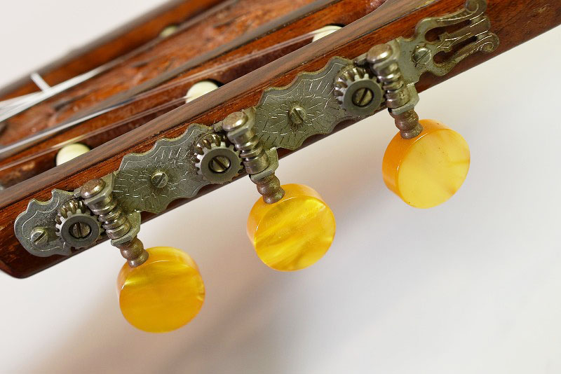 Di Giorgio Signorina No.16 - guitarshoptantan （ギターショップ