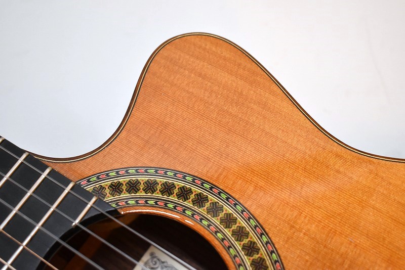 [音質良好] Paco Castillo 224CE スペイン製エレガット 楽天市場】Paco Castillo 224CE Spruce NarrowNeck 新品[パコ