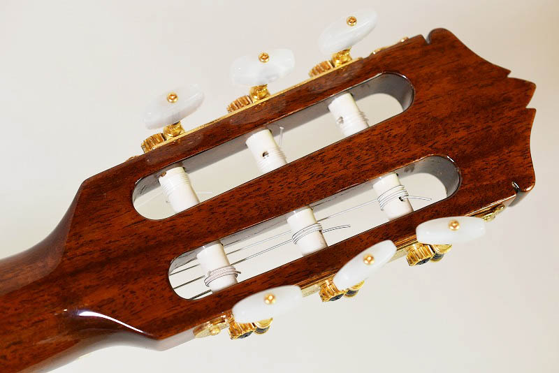 Vesta Graham エレガット - guitarshoptantan （ギターショップ