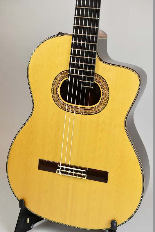 Takamine NPT-315 - guitarshoptantan （ギターショップタンタン）