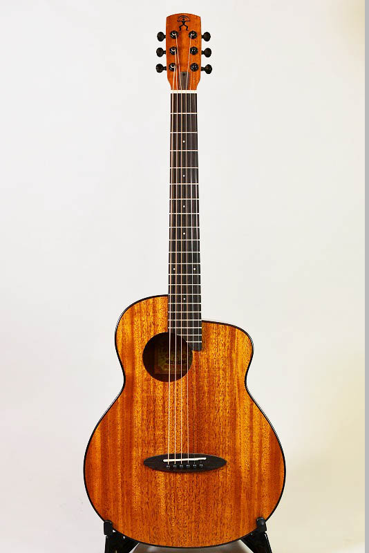 aNueNue aNN-M20E - guitarshoptantan （ギターショップタンタン）