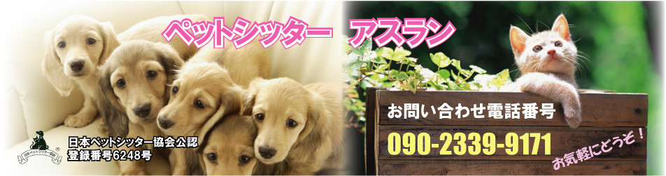 office-mihira ページ！