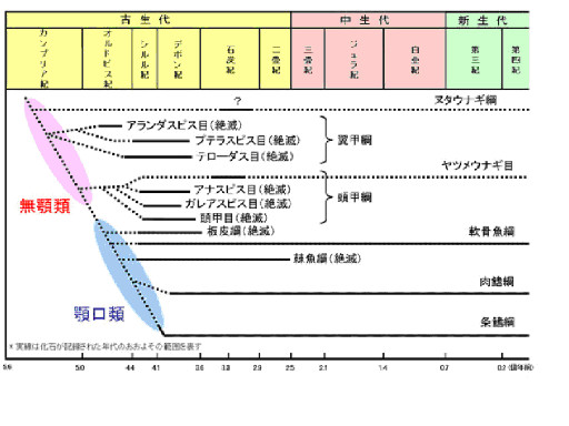 図１．脊椎動物の進化と地質年代
