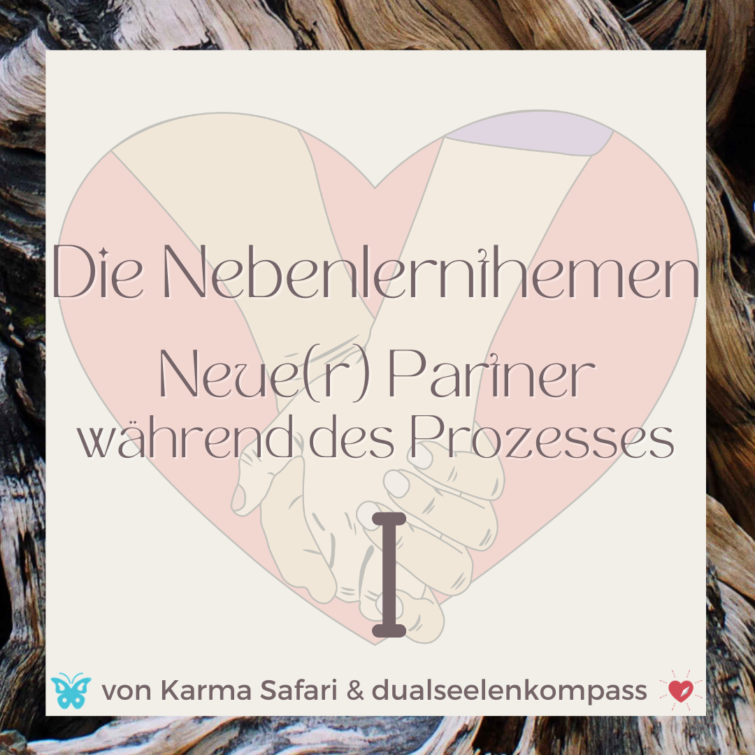 Die Nebenlernaufgaben: Partner während des Prozesses