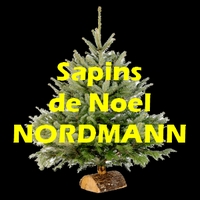 Sapins de Noël