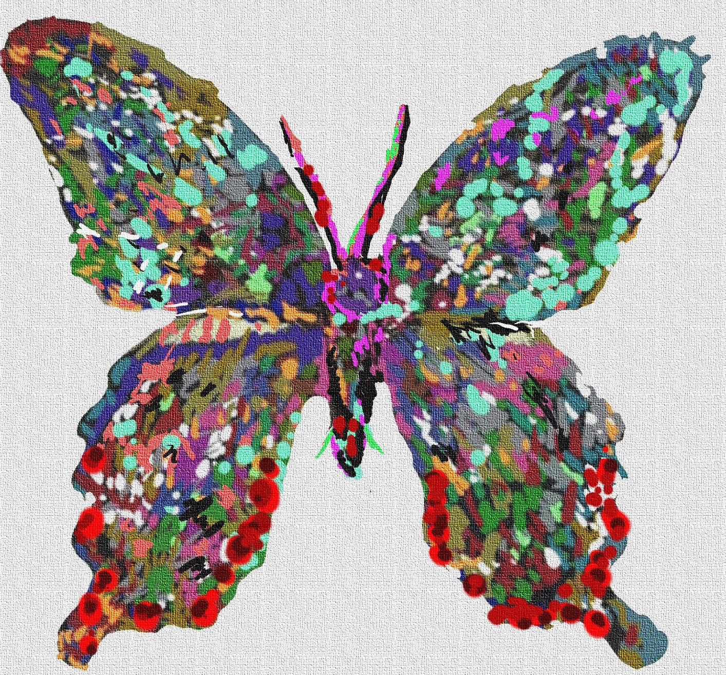 A gorgeous butterfly