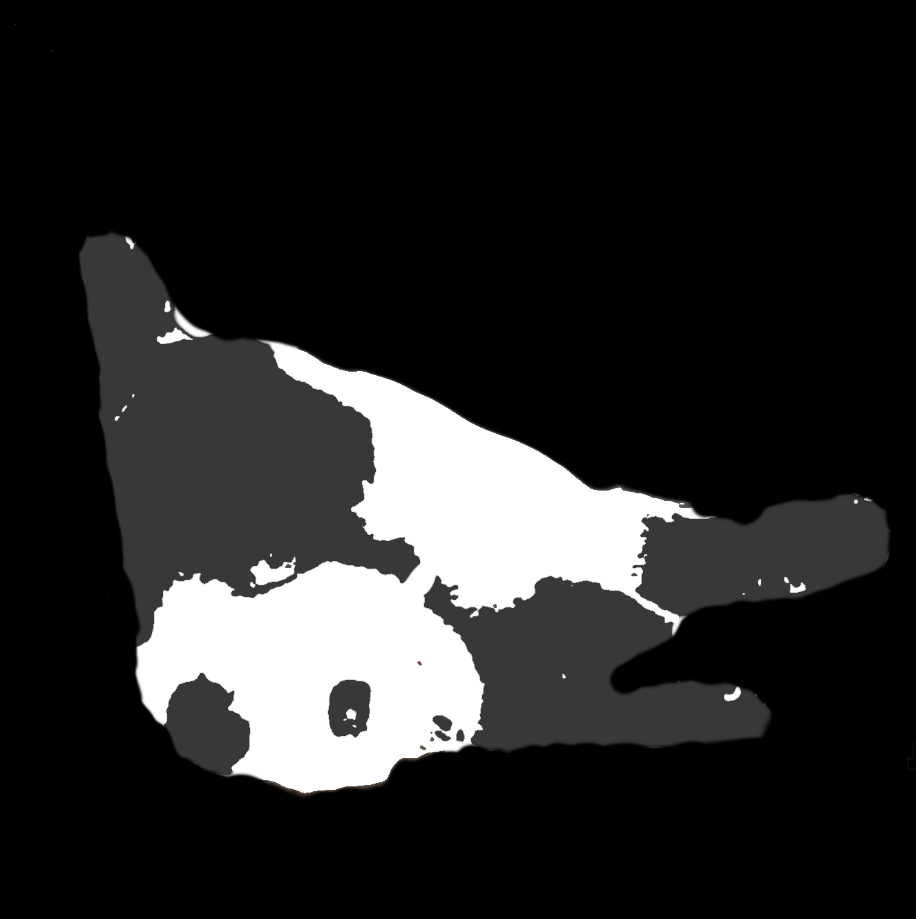 yoga panda