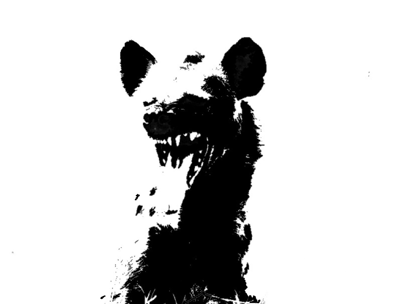 ハイエナ（Hyena）