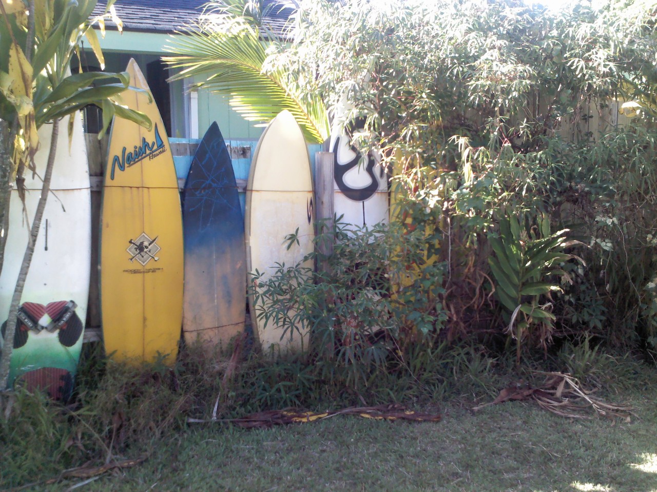 Our back garden has a Sailboardstarifa on the fence :D:D