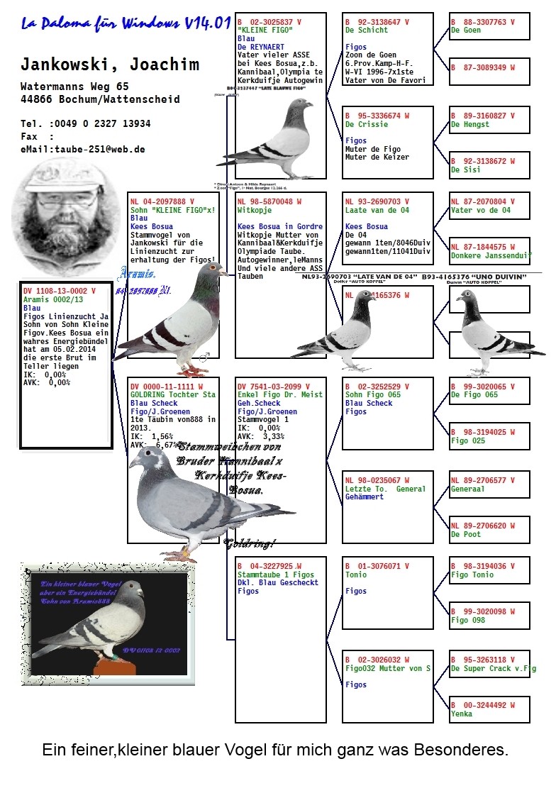 Pedigree von DV 01108-13-0002 Blauer Vogel