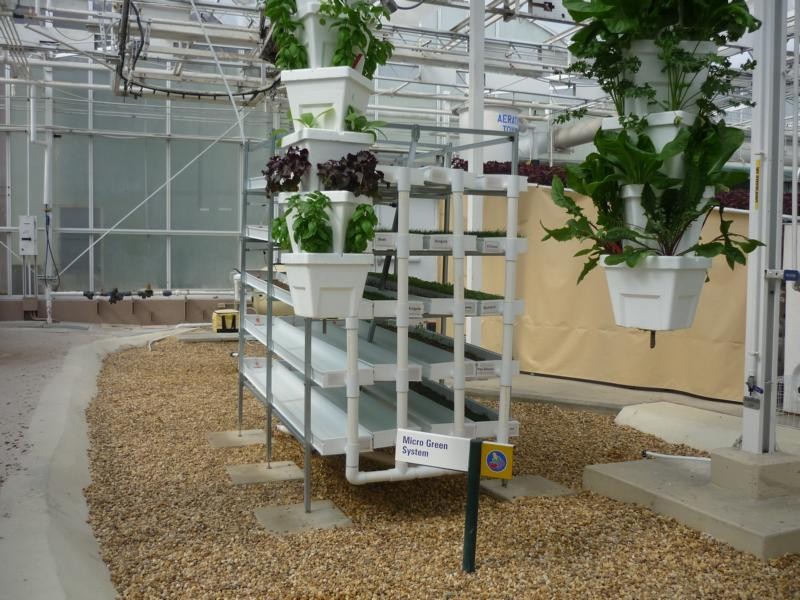 Viridis Aquaponics Design Aquaponic