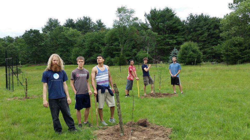 planting the orchard