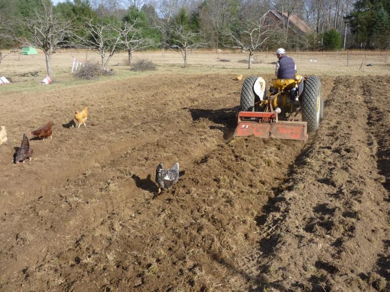 tilling the former pasture