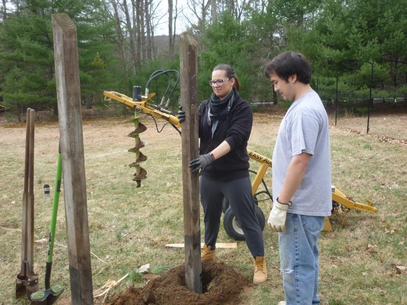 setting poles for the cow pasture