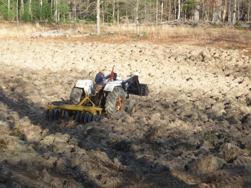 pastures get transformed to fields