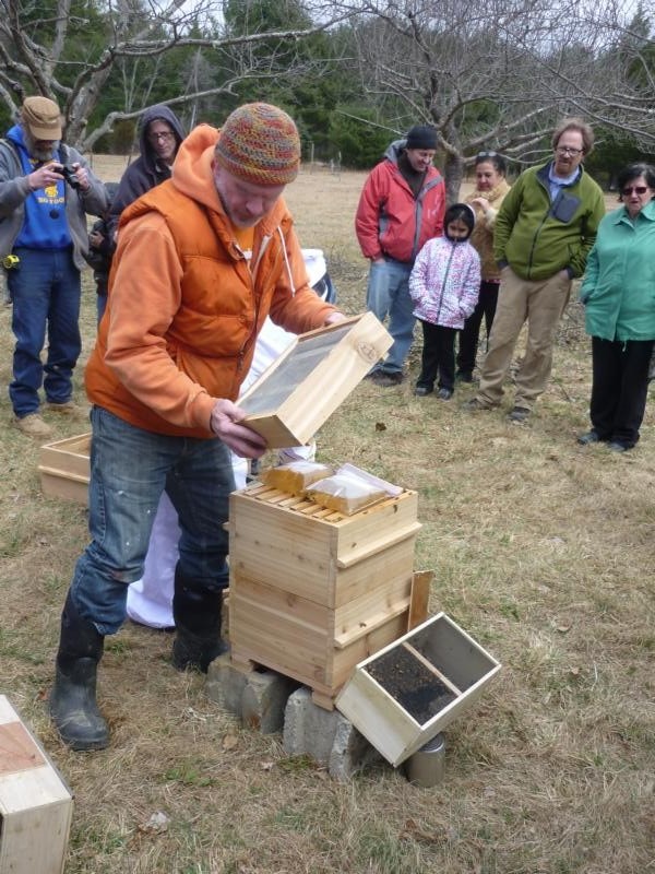 Bluestone Beehives