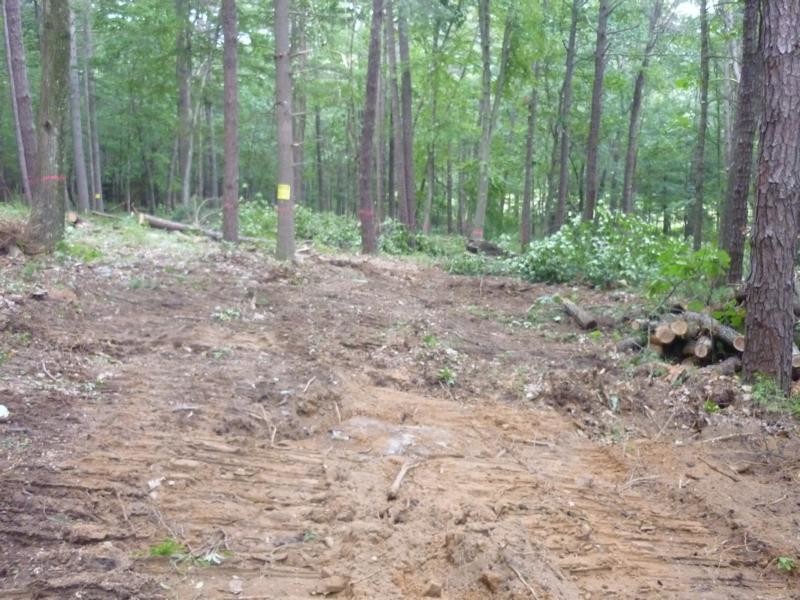 first clearing of the site