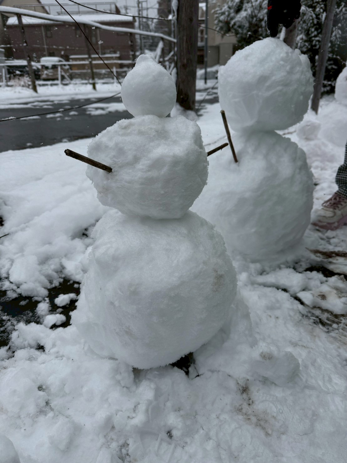 【ビーバー隊】雪あそび