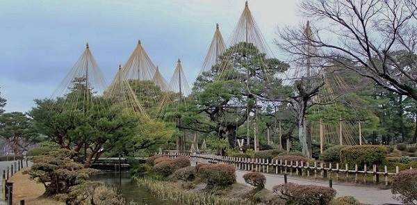 兼六園雪つり