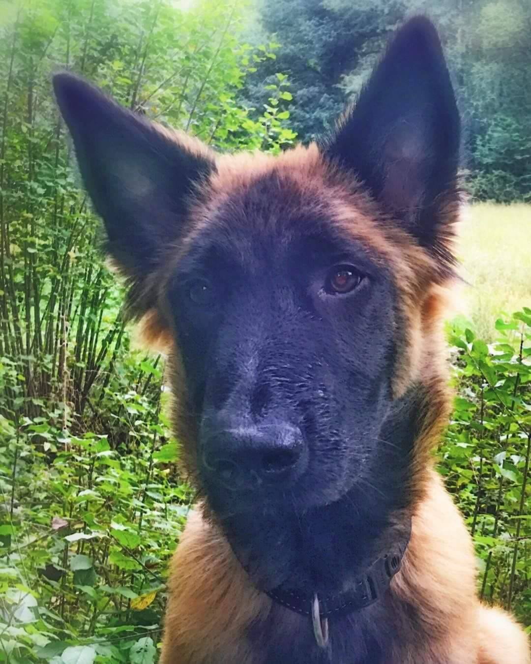 Jack