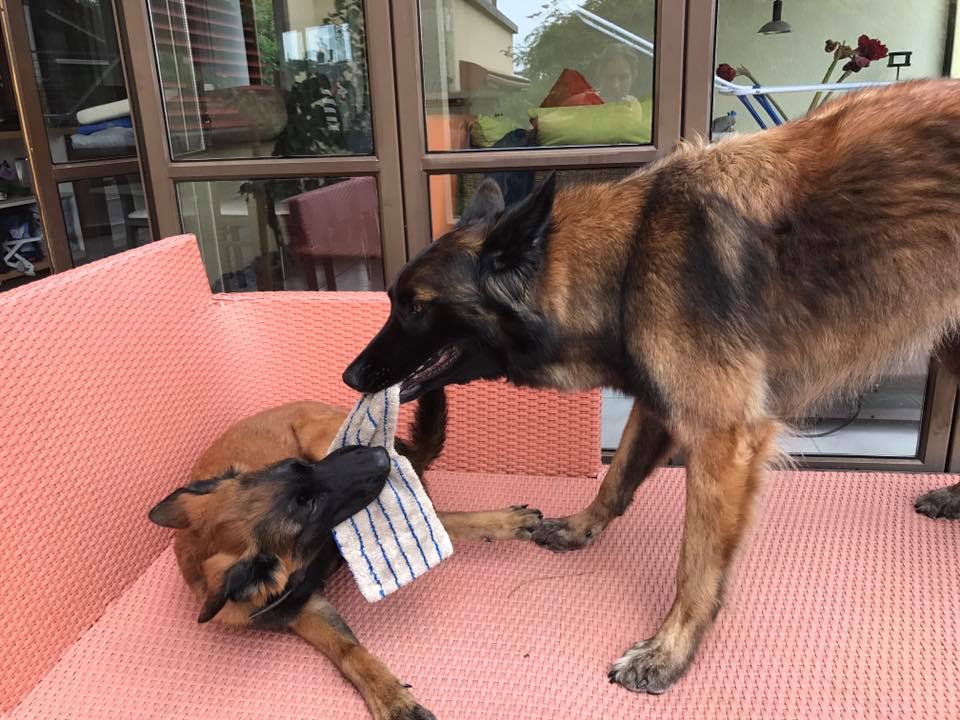Jutta & Hank verstehen sich gut