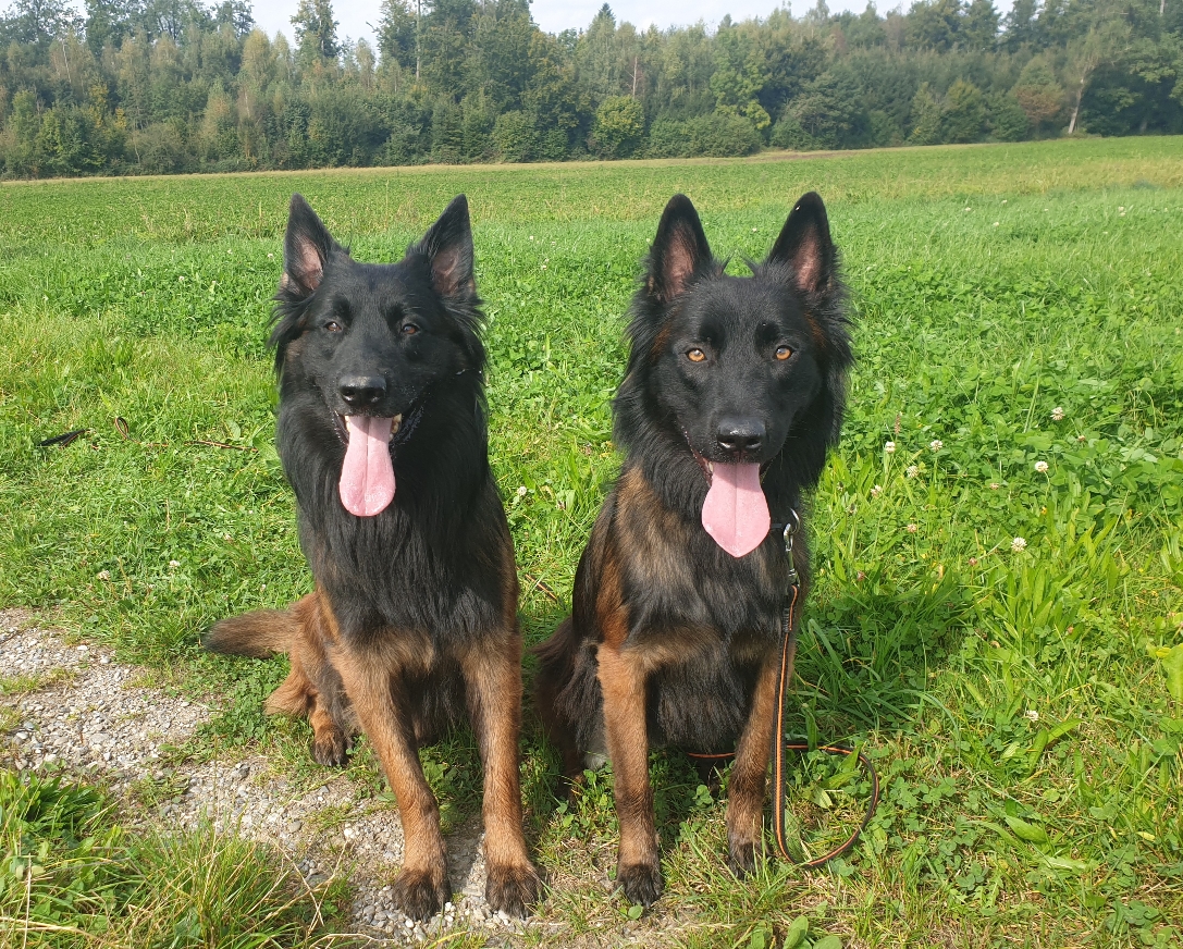 Papa Raki mit Maylo