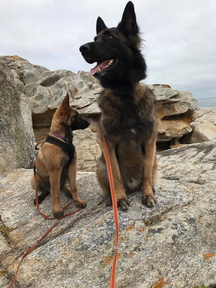 Jutta-Jay & Hank of Baxley