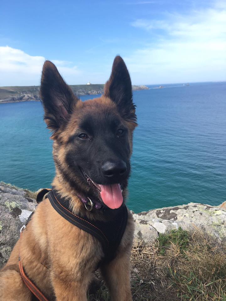 Jutta-Jay in der Bretagne