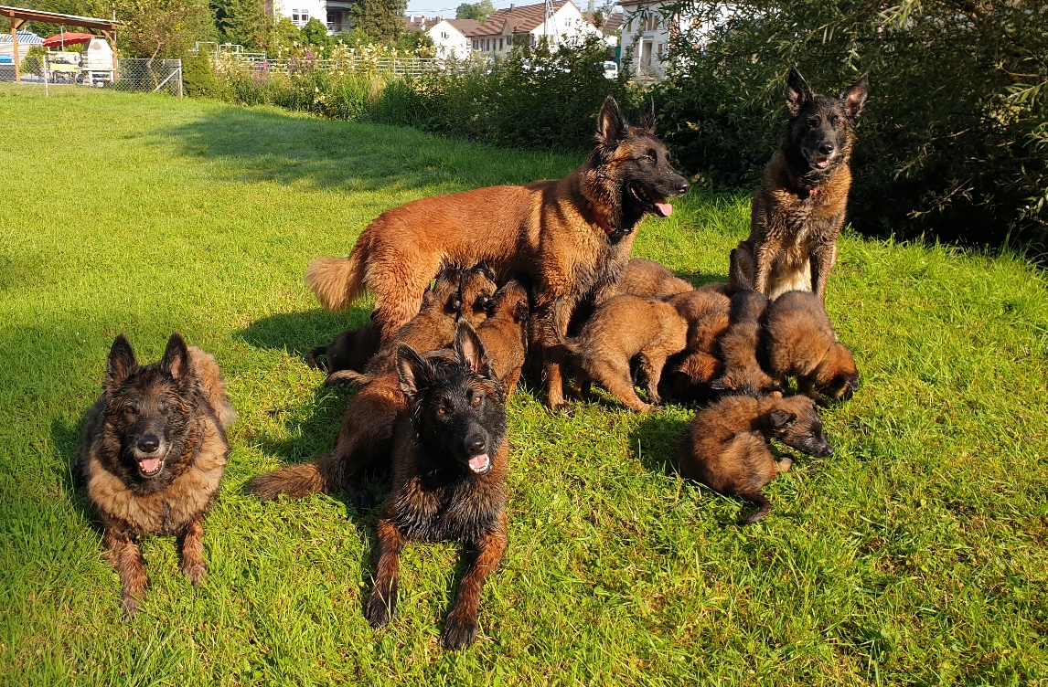 4 Genertationen Baxley's
