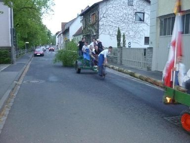 Schonunger Planpaare - Maibaum 2010